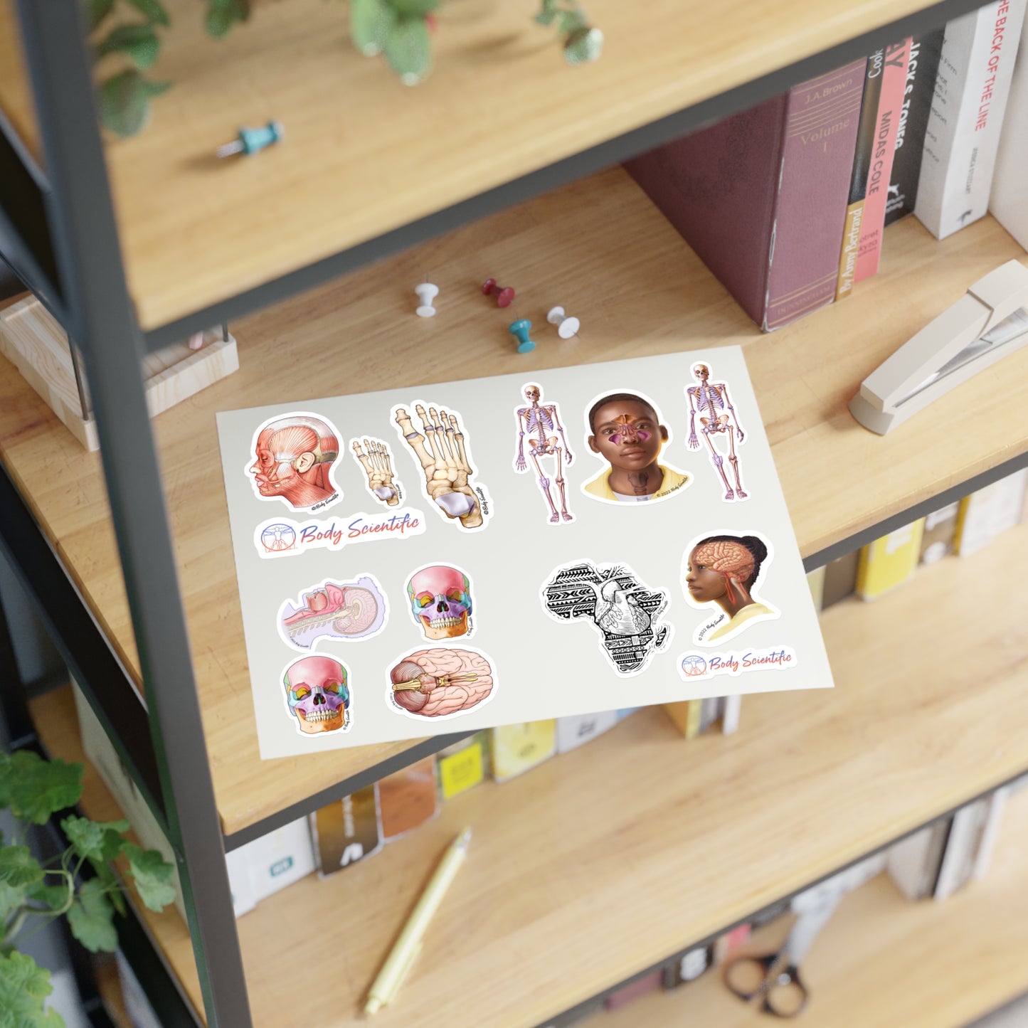 Sticker Sheets - Diecut Sticker