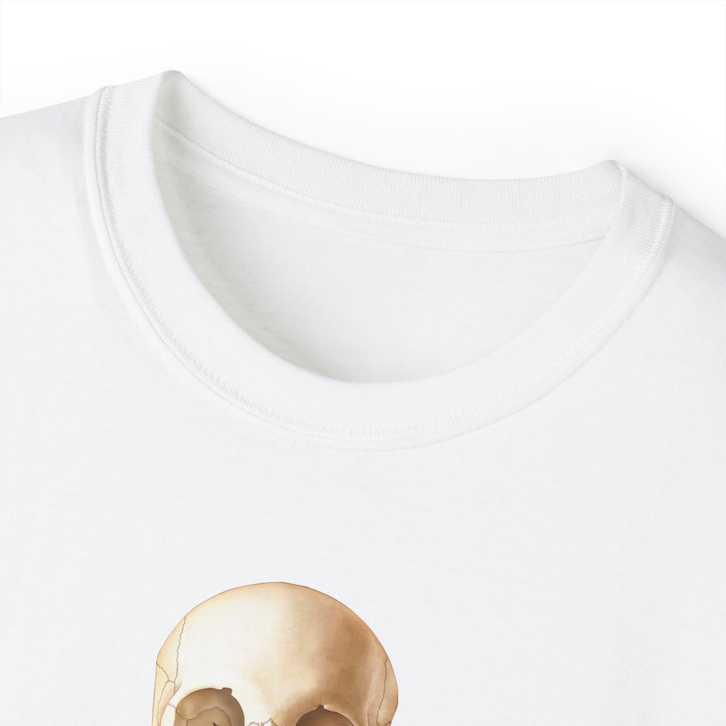 Skeleton (ant/post)