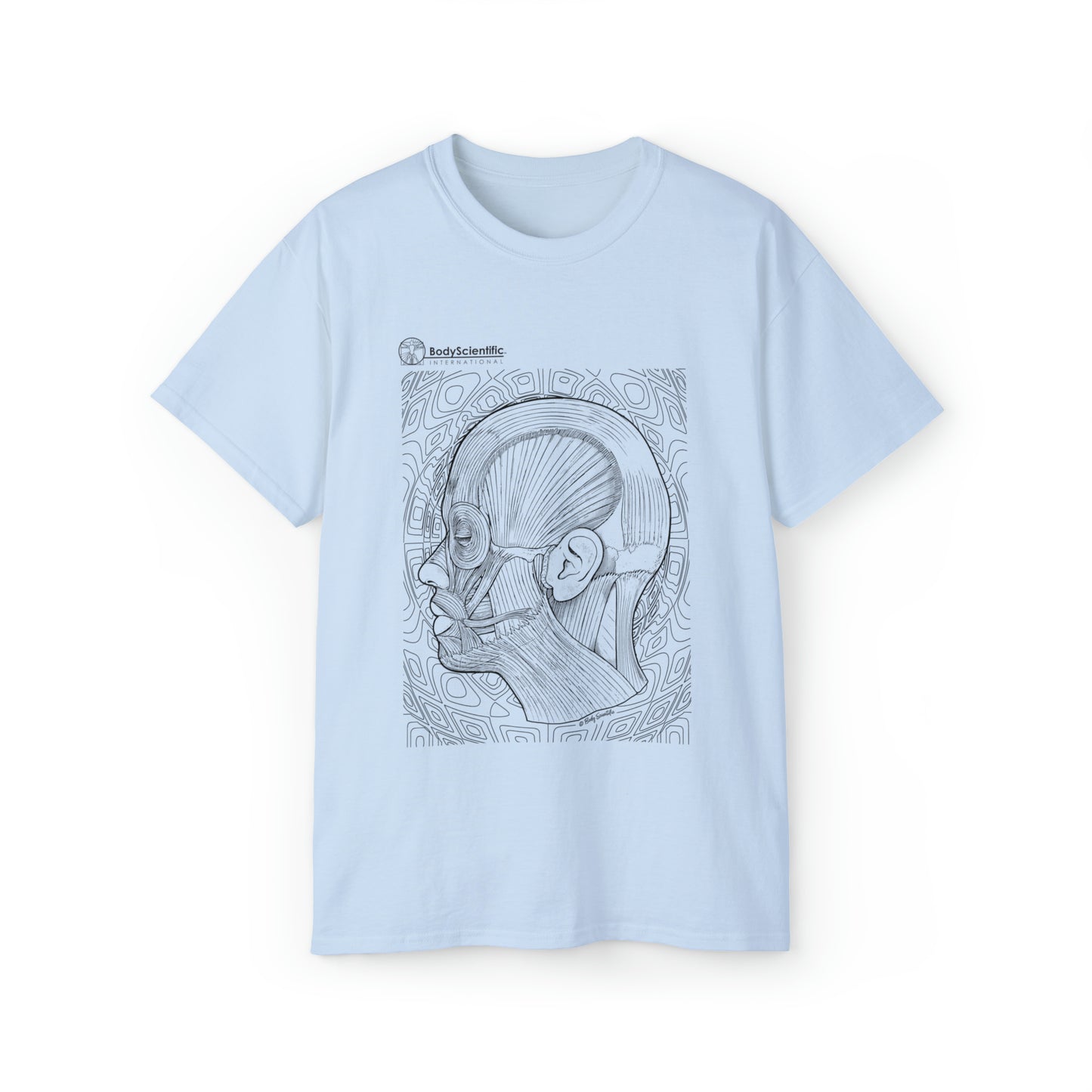 Facial Muscles (side)