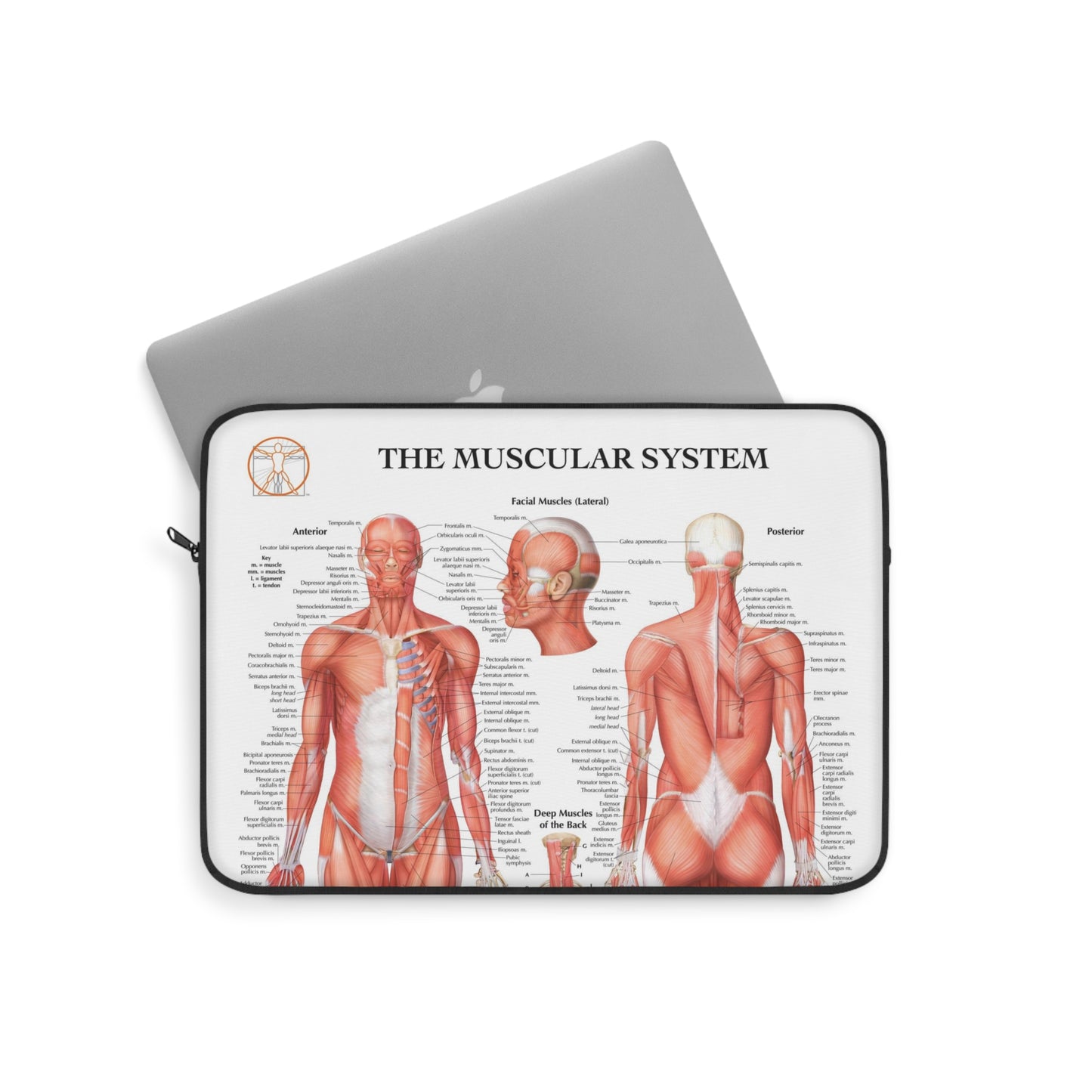 Muscular System Laptop Sleeve