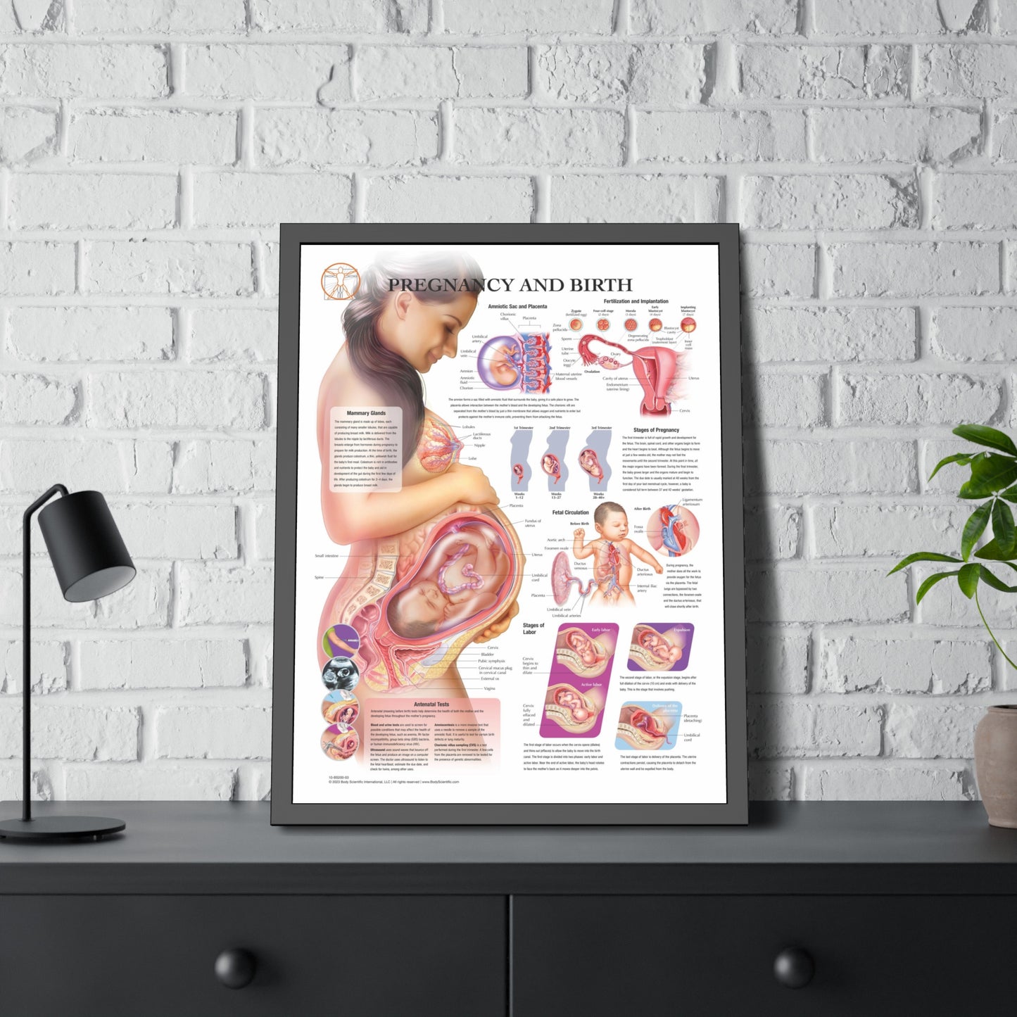 Framed Pregnancy and Birth