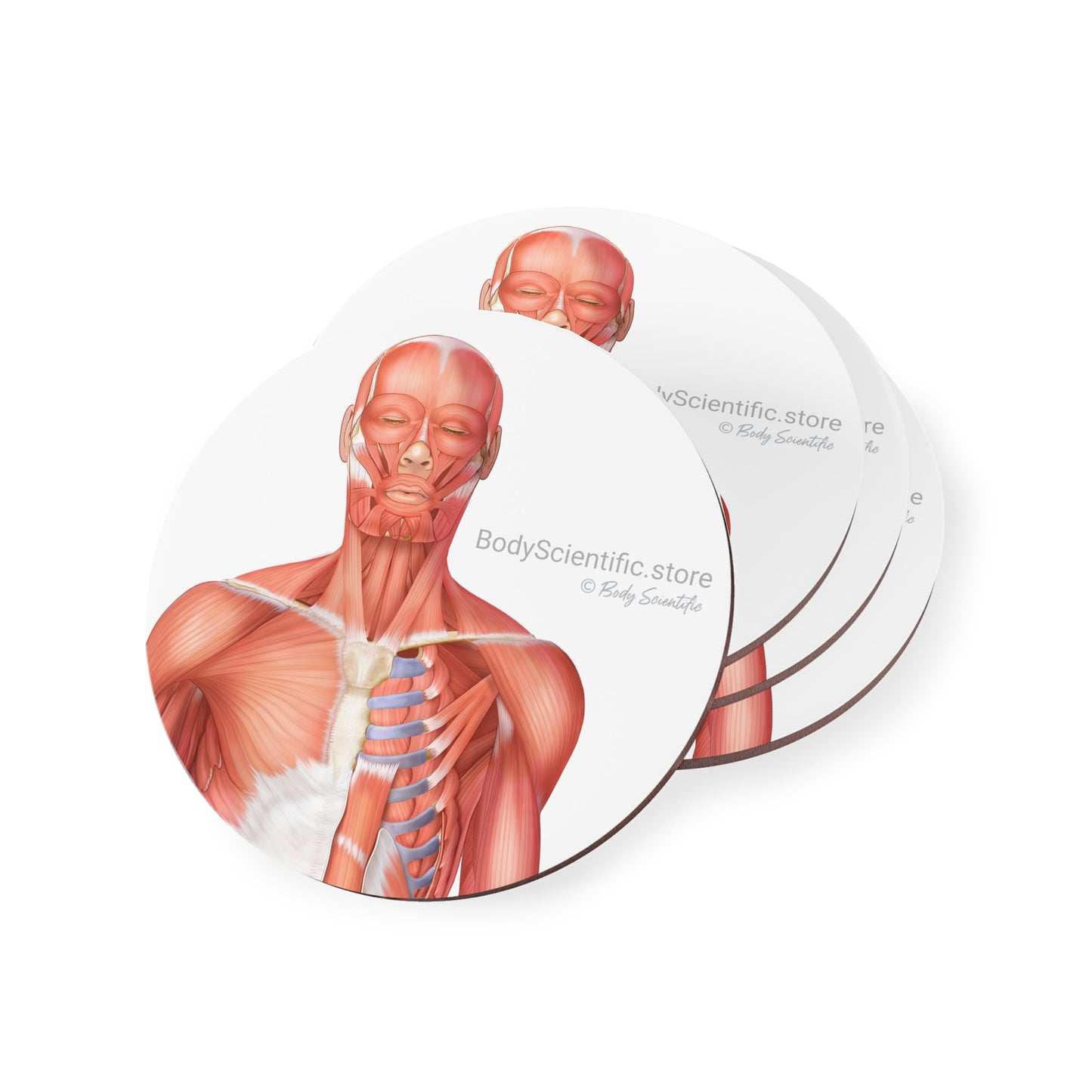 Muscle Coasters