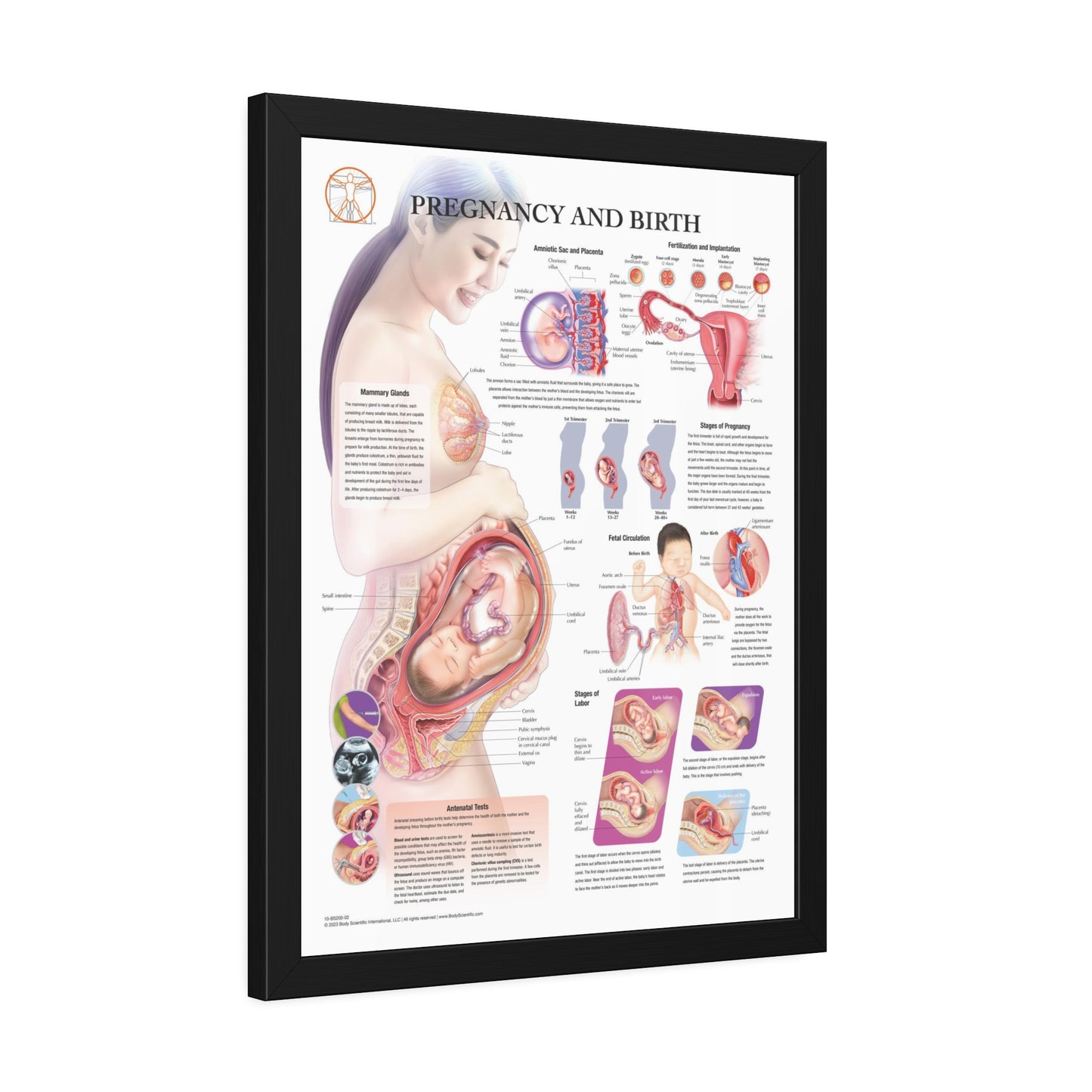 Framed Pregnancy and Birth