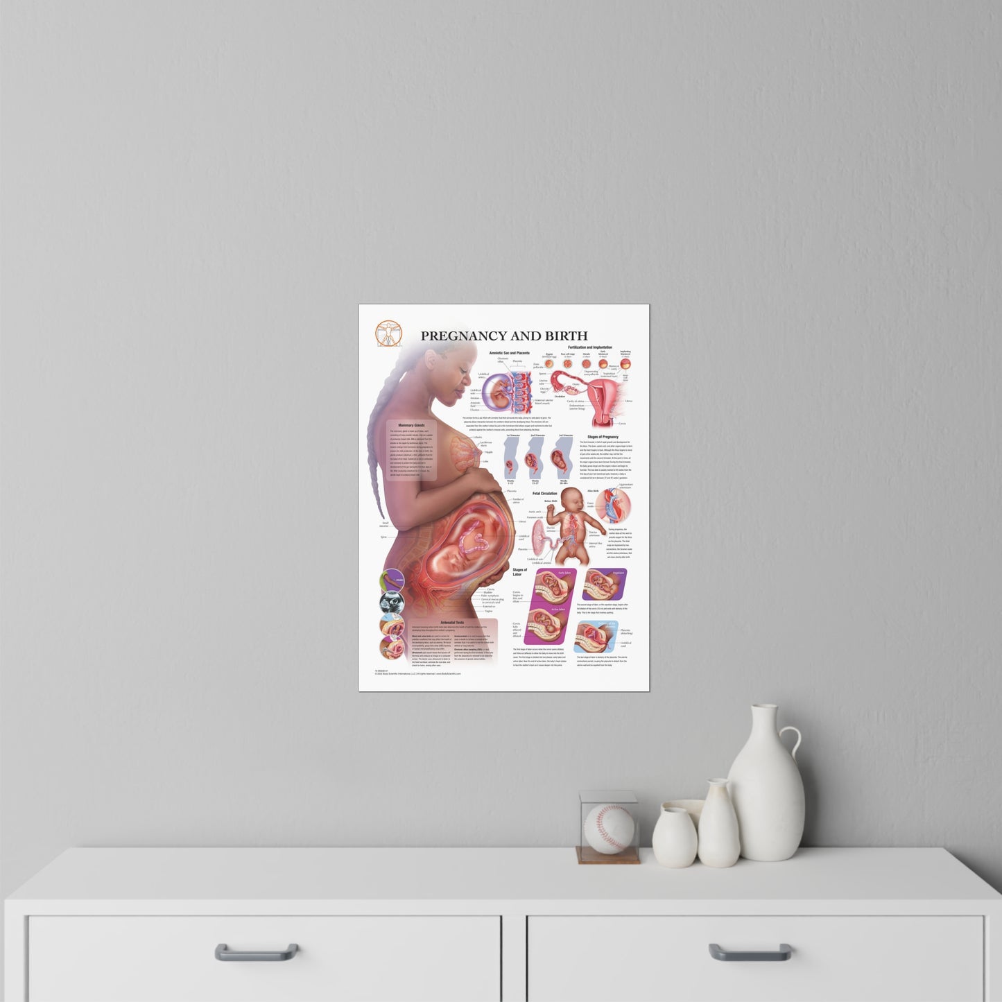 Pregnancy and Birth - Decal