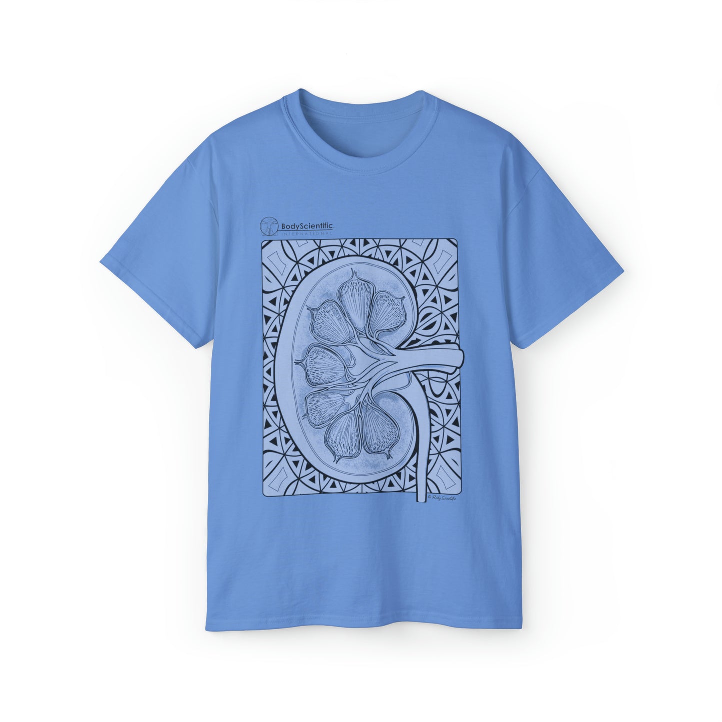 The Kidney