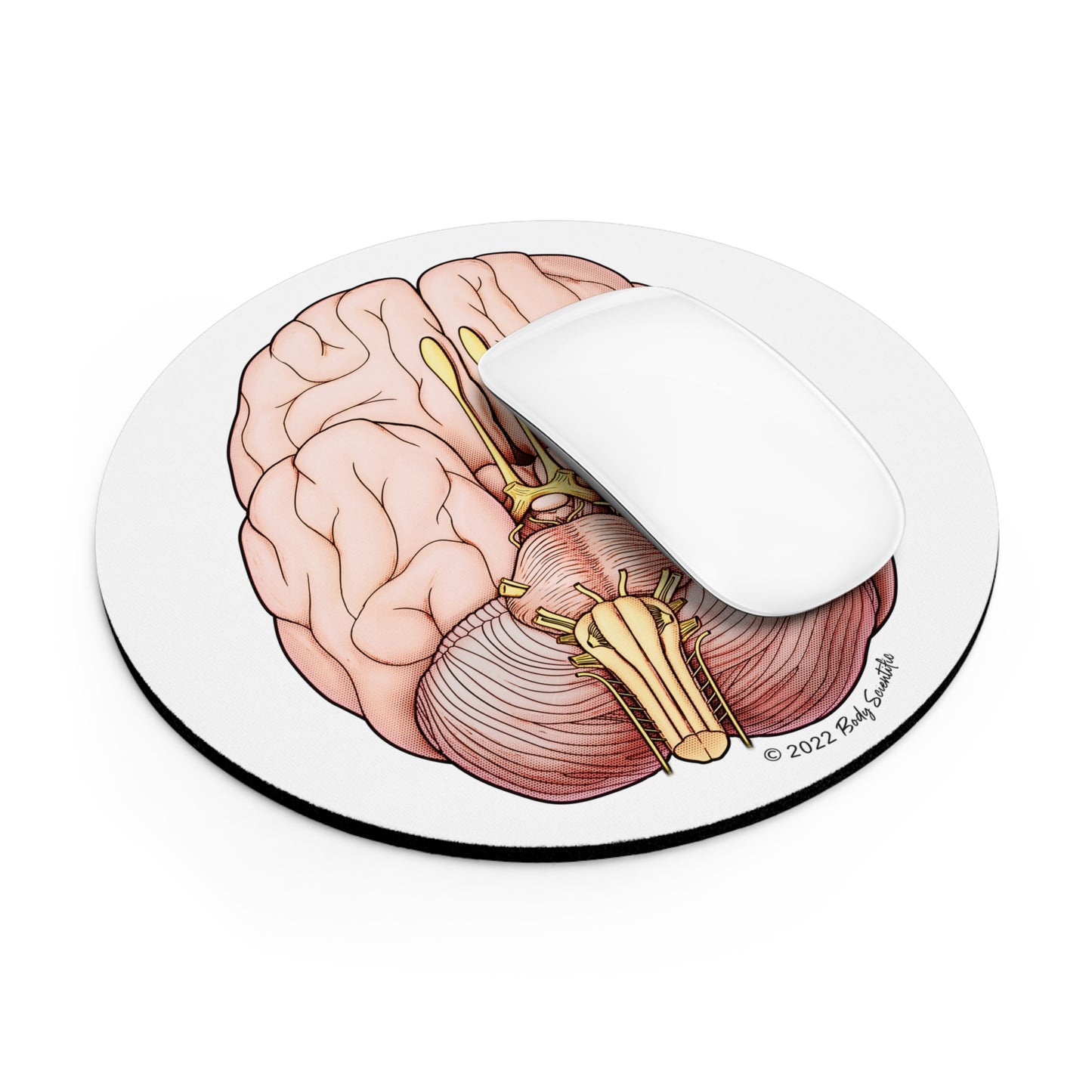 Cranial Nerves Mouse Pad