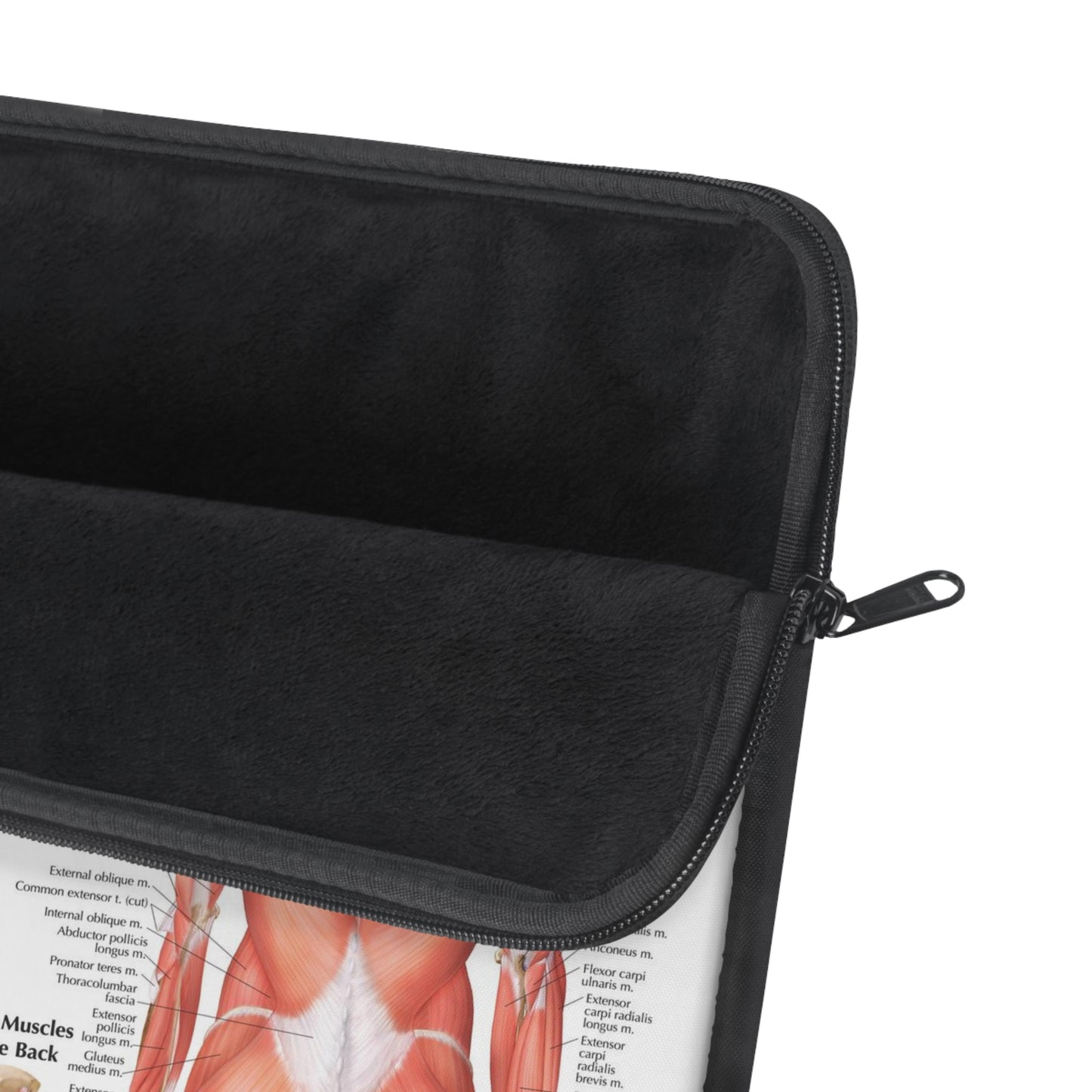 Muscular System Laptop Sleeve