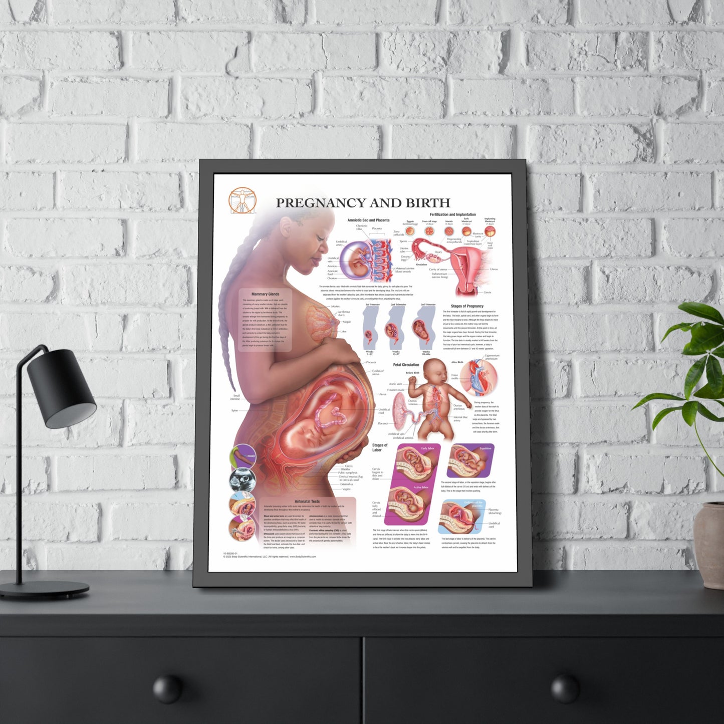 Framed Pregnancy and Birth