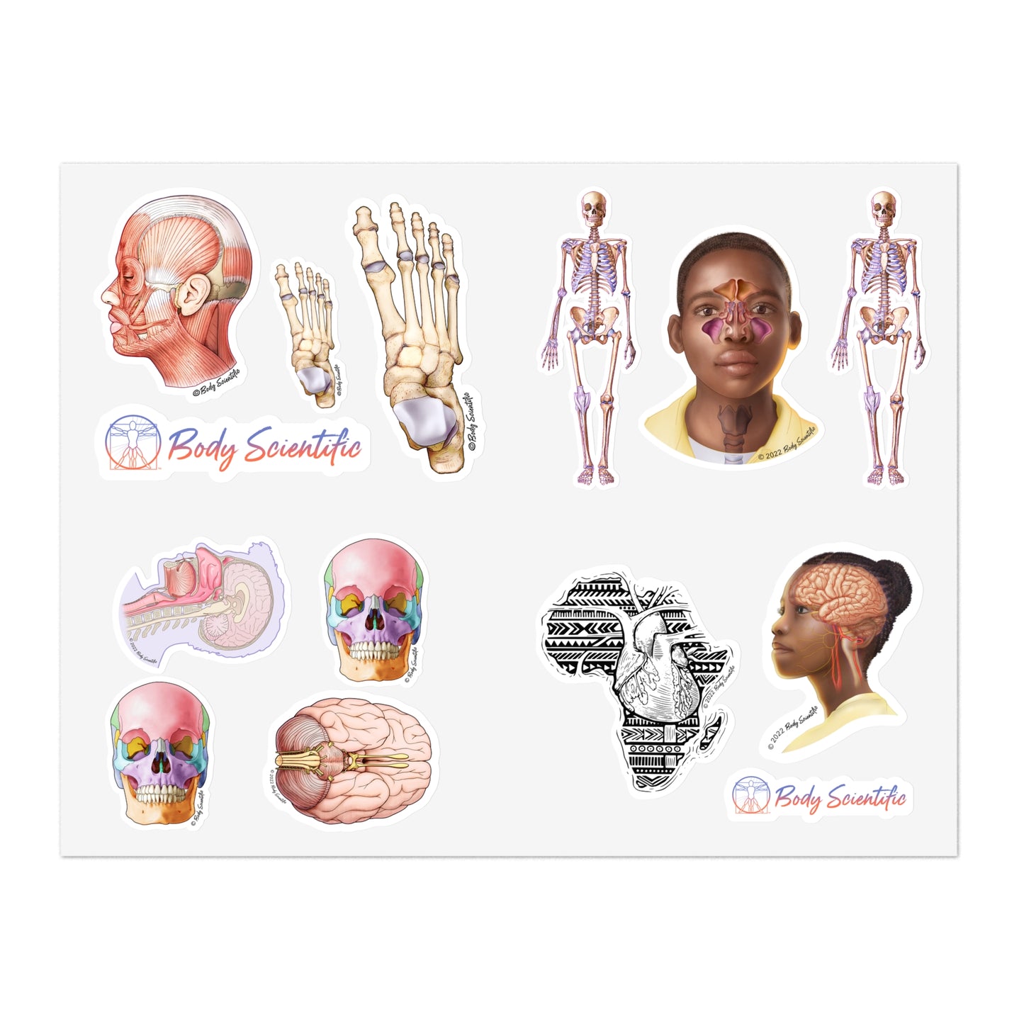 Sticker Sheets - Diecut Sticker