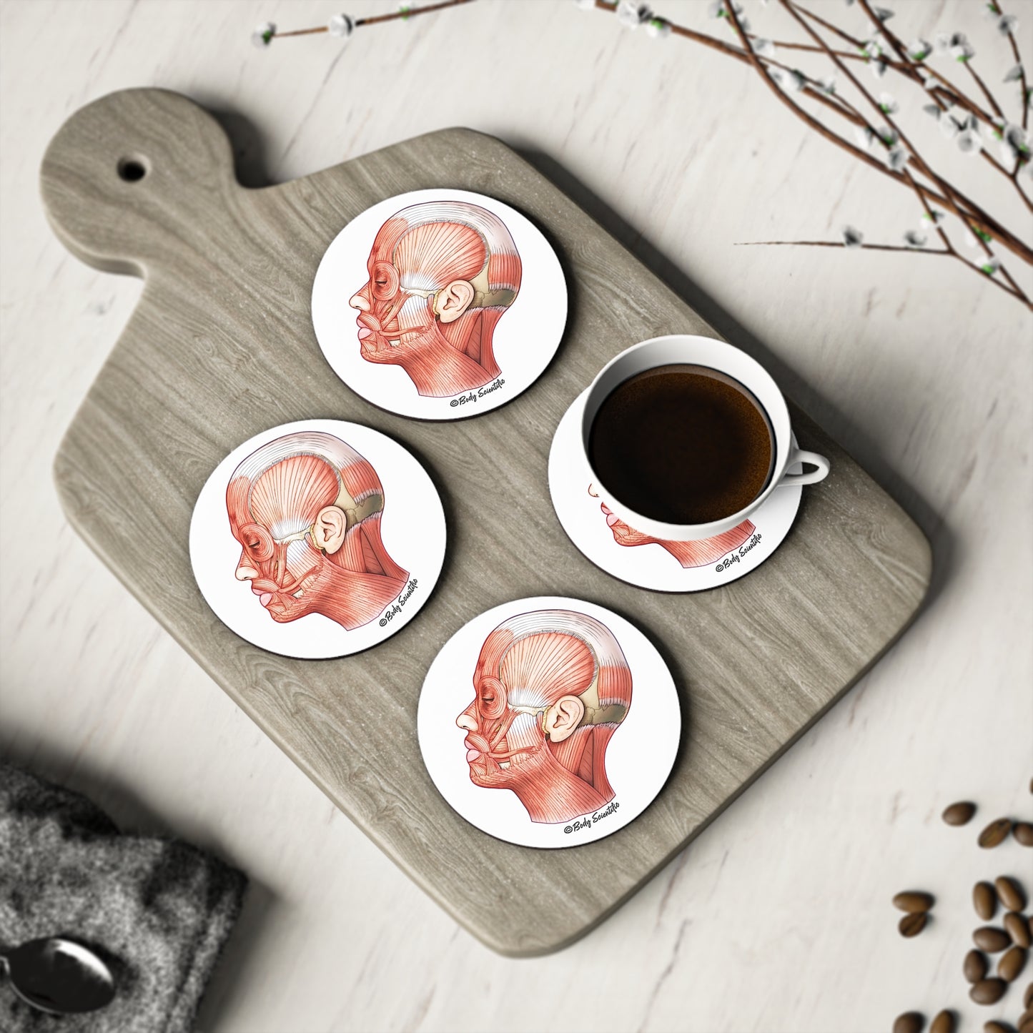 Facial Muscles Coasters