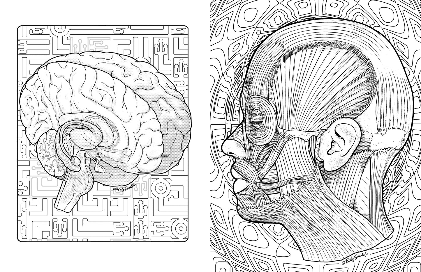 Grey Matter