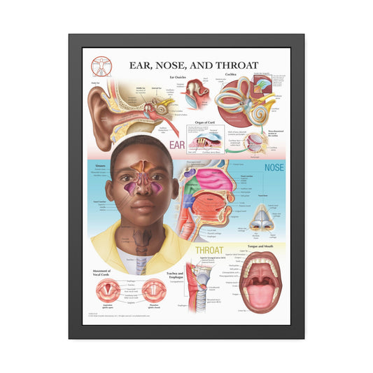 Framed Ear, Nose and Throat