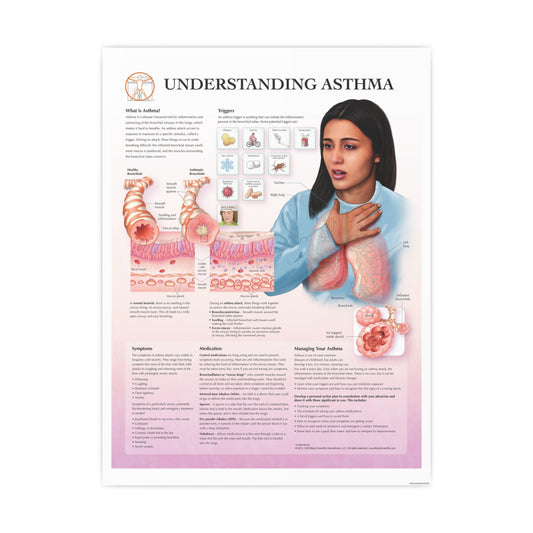 Understanding Asthma