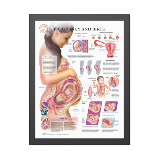 Framed Pregnancy and Birth