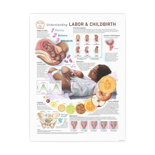Labor & Childbirth