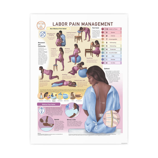Labor Pain Management