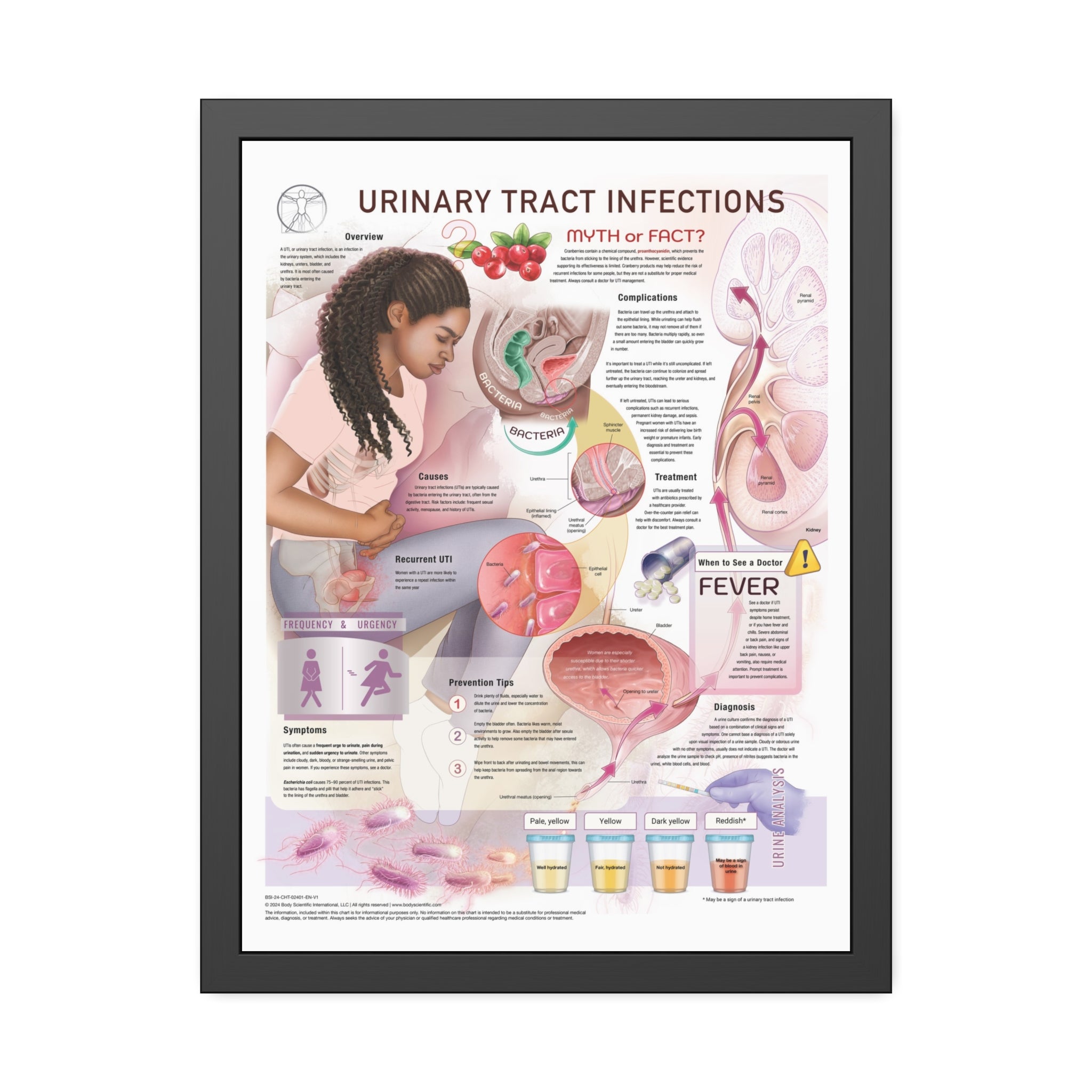 Urinary Tract Infection (UTI) – Body Scientific