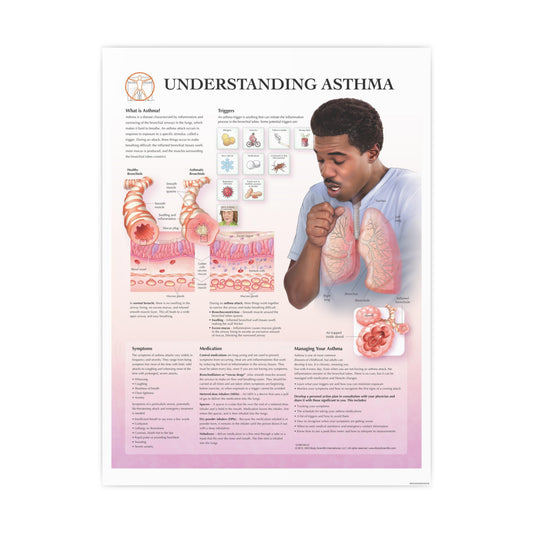 Understanding Asthma