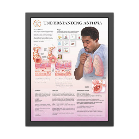 Framed Understanding Asthma