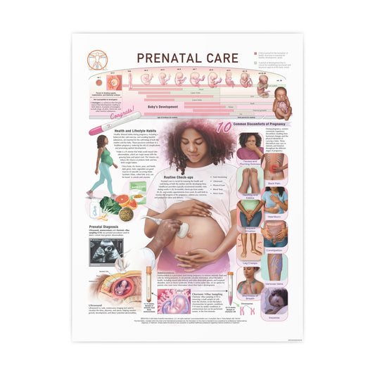 Prenatal Care