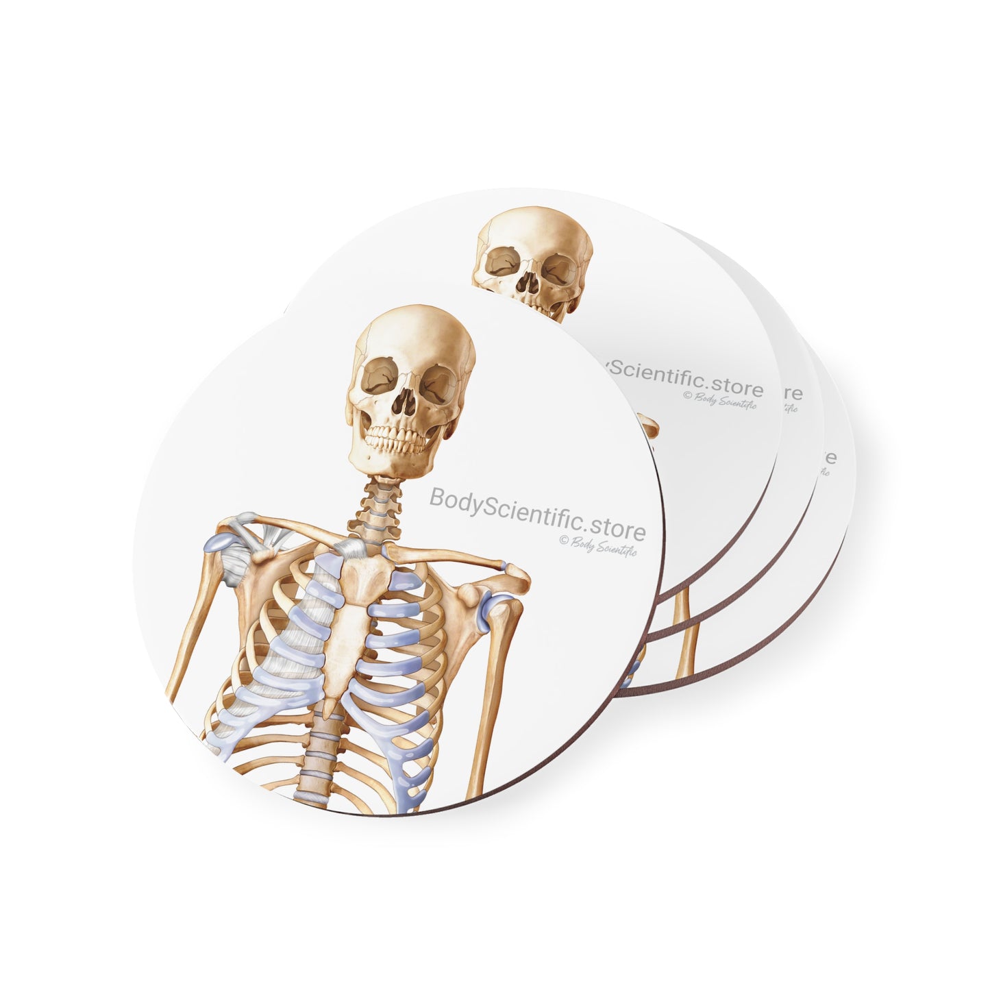 Skeleton Coasters