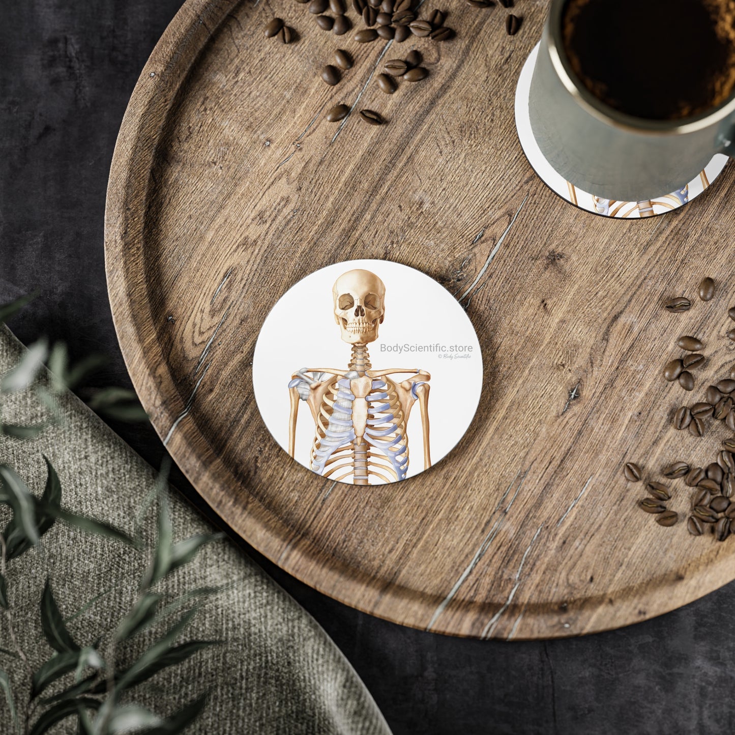 Skeleton Coasters