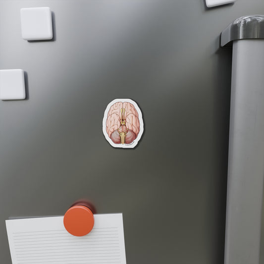 Brain - Diecut Magnet