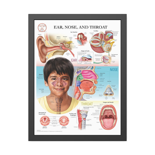 Framed Ear, Nose and Throat
