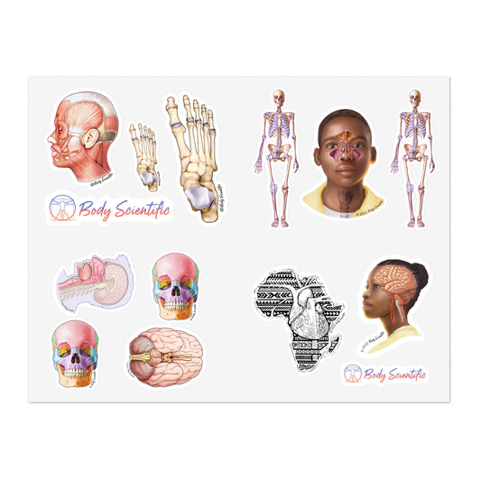 Sticker Sheets - Diecut Sticker
