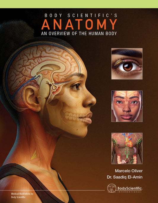 Body Scientific's Anatomy - An overview of the human body
