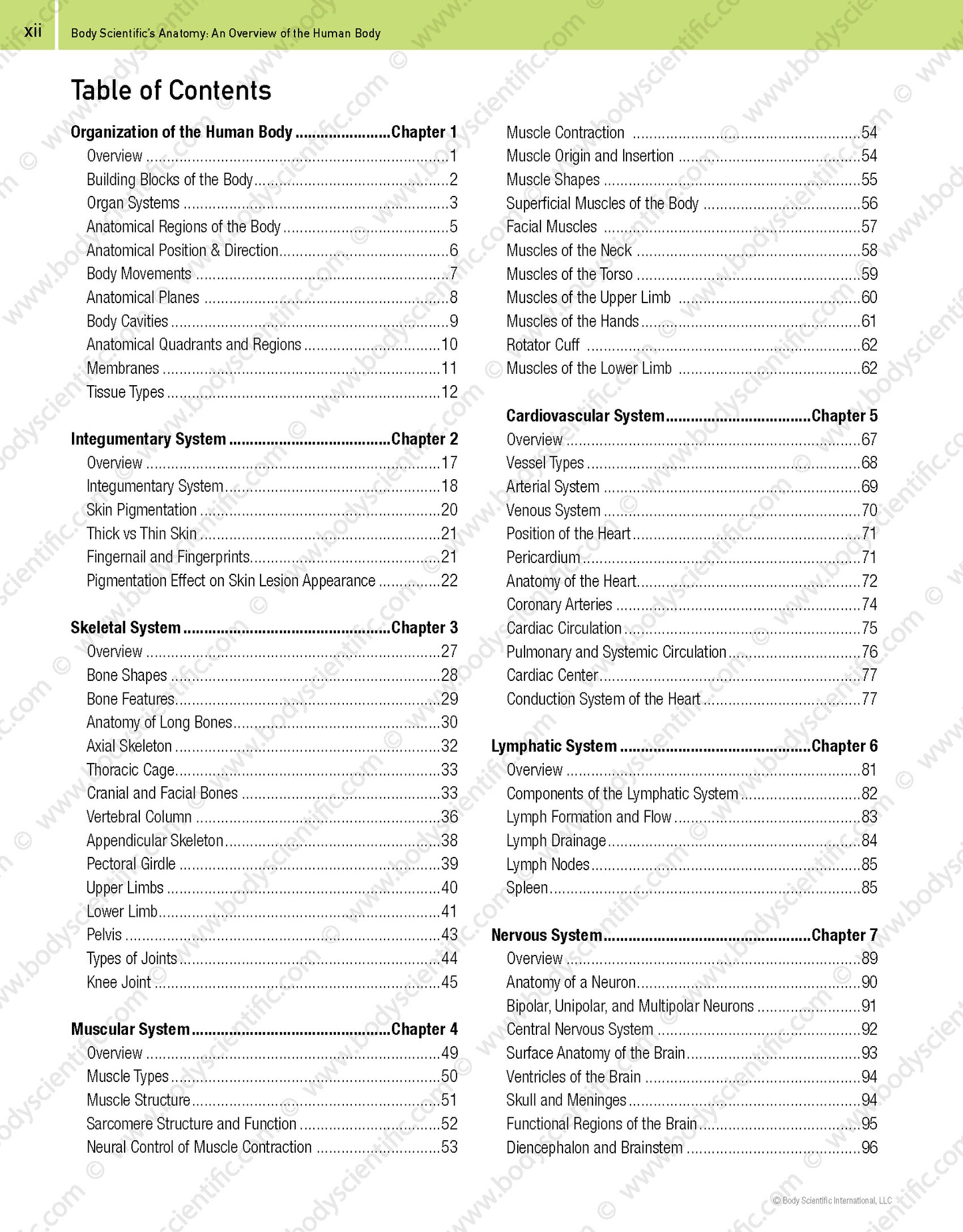 Body Scientific’s Anatomy – An Overview of the Human Body