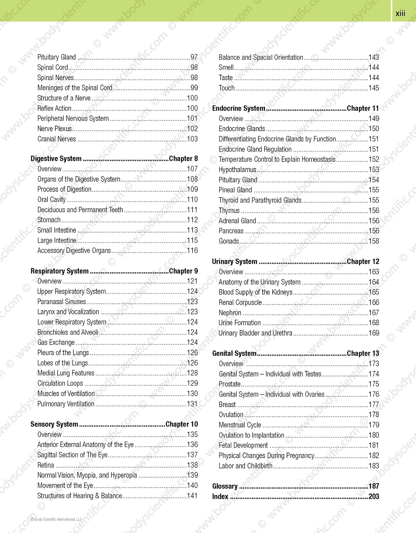 Body Scientific’s Anatomy – An Overview of the Human Body