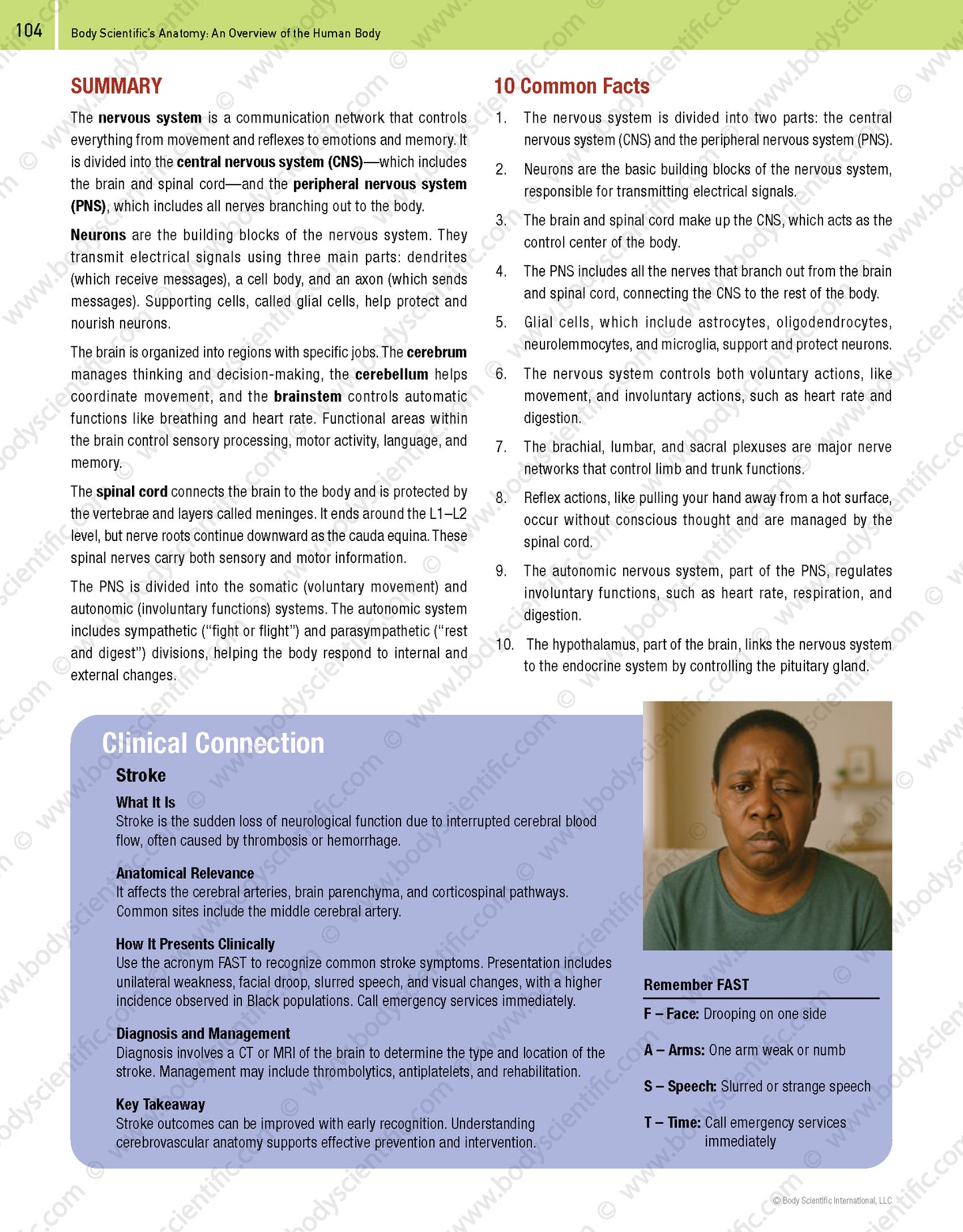 Body Scientific’s Anatomy – An Overview of the Human Body