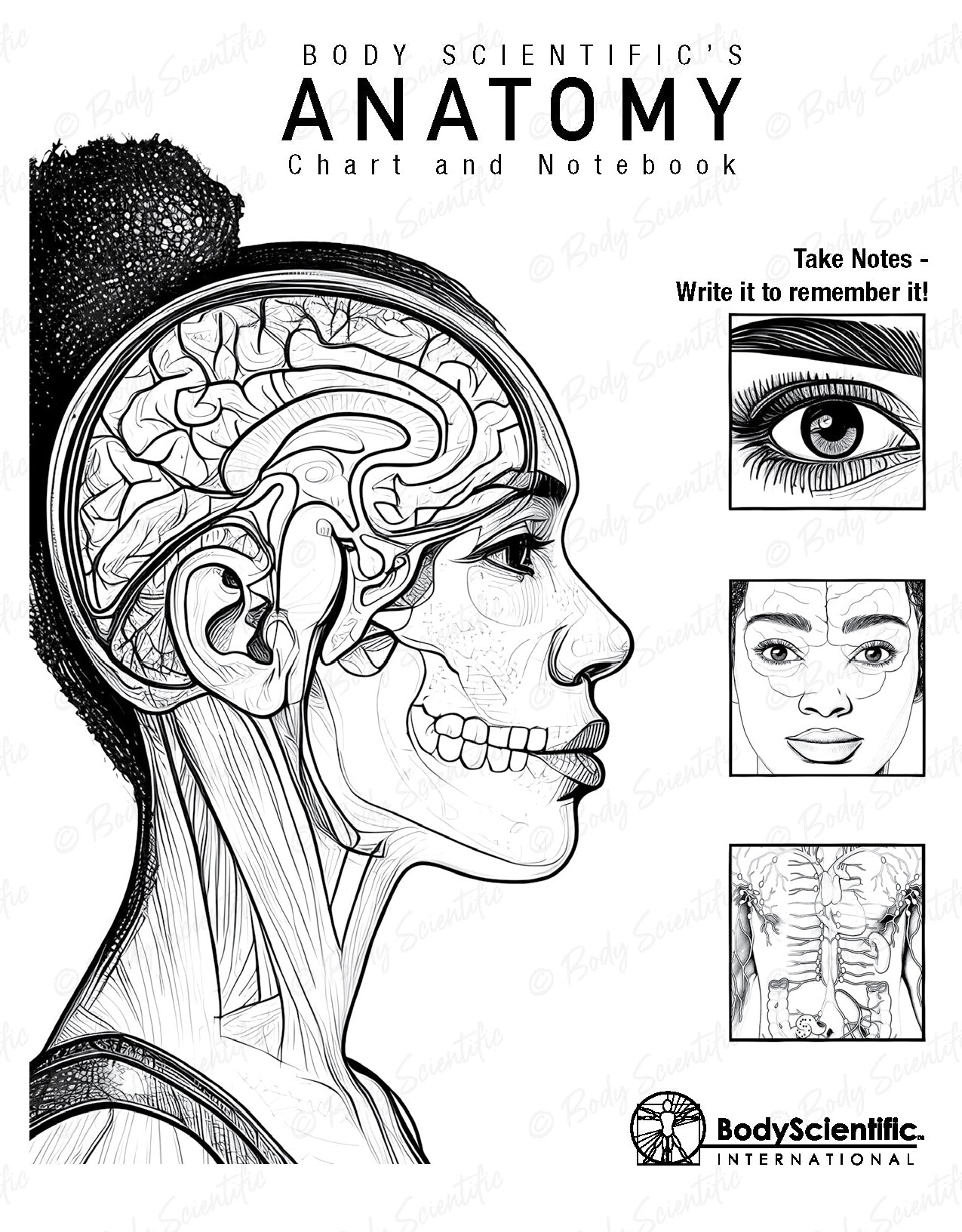 Anatomy chart and notebook with illustrations of a human head and brain, featuring Body Scientific's branding.