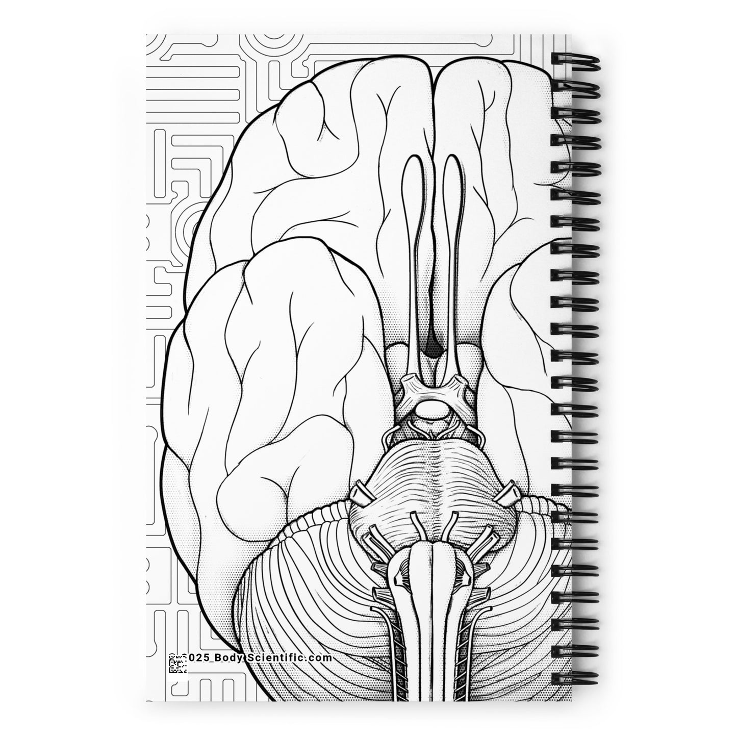 Back cover - White notebook covery with illustration of brain in black line