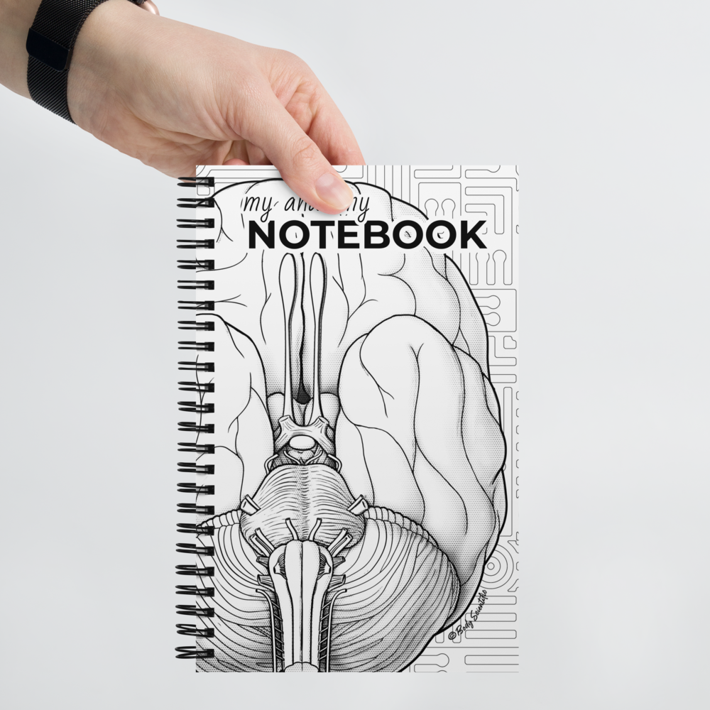 Notebook with brain illustration and 'my anatomy notebook' text held by a hand on a light gray background