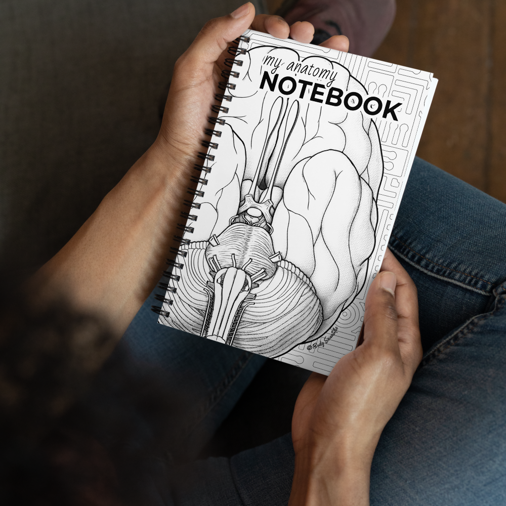 Notebook with anatomical design held by a person